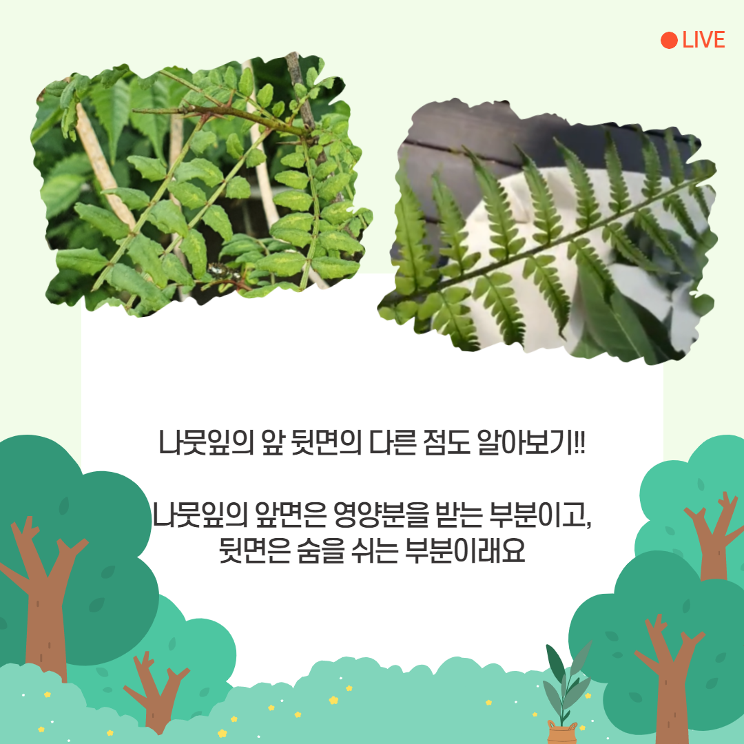 숲 생태 활동 1